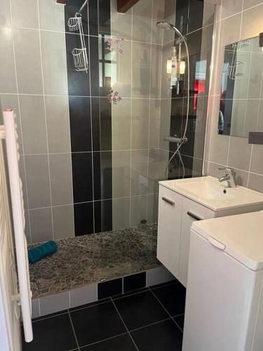 une salle de bain avec douche et lavabo dans l'établissement La Coccinelle YourHostHelper, à Gujan-Mestras