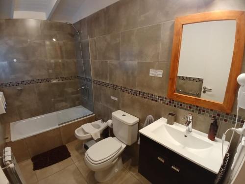 uma casa de banho com um WC, um lavatório e um chuveiro em Aparts Merkaba em El Chaltén