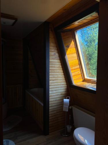 a bathroom with a window and a toilet at California in Khorodelets