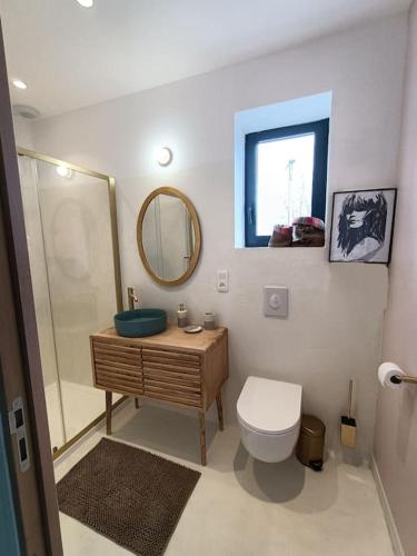 une salle de bain avec toilettes, lavabo et miroir dans l'établissement villa Malisa, à La Voulte-sur-Rhône