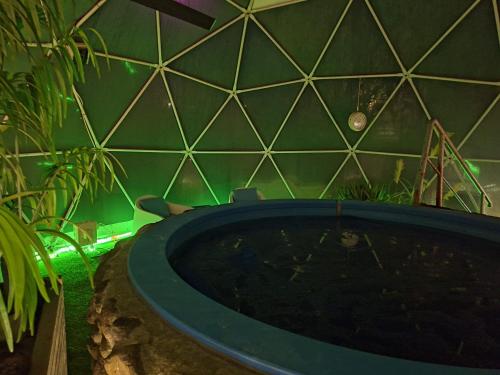a bath tub in a room with a green wall at H49 Apartman Wellness & Spa - Adults only in Sovata