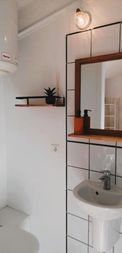 une salle de bain avec un lavabo et un miroir dans l'établissement La Bottellie - Gîtes & chambres d'hôtes entre Cévennes et Camargue, à Saint-Géniès-de-Malgoirès