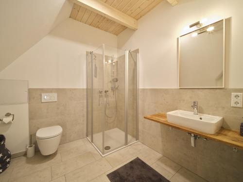 a bathroom with a shower and a toilet and a sink at Hof Maiholm - Heuboden in Medelby