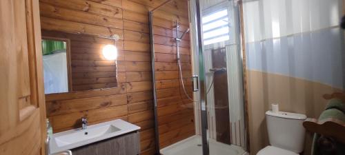 a bathroom with a shower and a toilet and a sink at HOME CONTAINER RESORT Eau in Sainte-Rose