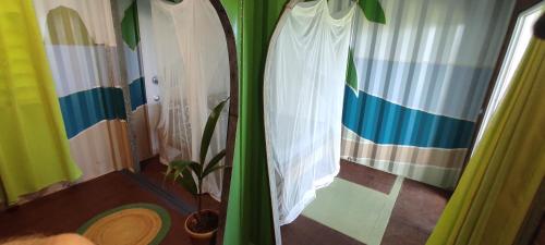 two surfboards in a room with curtains and a plant at HOME CONTAINER RESORT Eau in Sainte-Rose