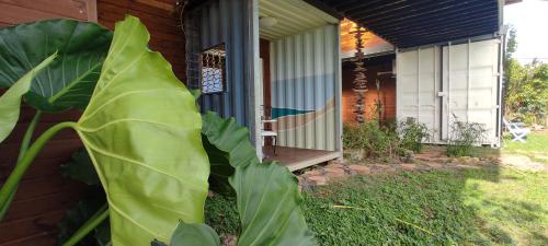 a large green plant in front of a house at HOME CONTAINER RESORT Eau in Sainte-Rose