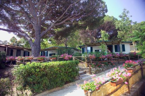 Giardino di Acquaviva Village Camping