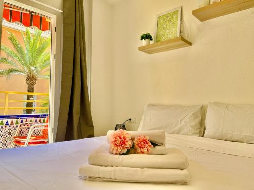 Santa Cruz Home By Gloove