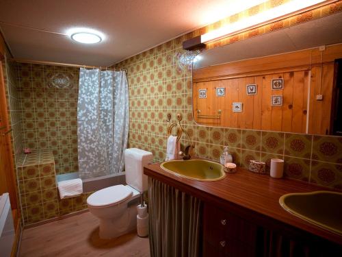 a bathroom with a toilet and a sink at Chuderhuette in Wyssachen