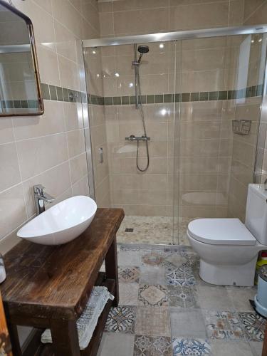 a bathroom with a shower and a sink and a toilet at River Ebro Apartments in Móra d'Ebre