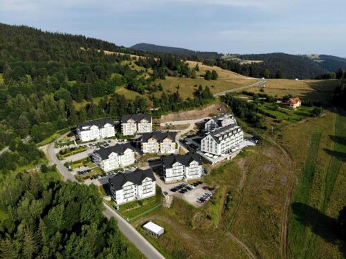 uma vista aérea de uma mansão nas montanhas em SW Apartamenty Czarna Góra em Sienna