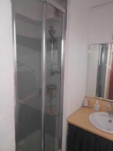 une douche en verre dans une salle de bain avec un lavabo dans l'établissement Cap d' Agde La conque, au Cap d'Agde