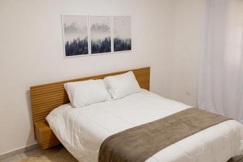 貢薩爾維斯的住宿－Respiro na Serra, casa no coração de Gonçalves，一间卧室配有一张带两个白色枕头的床