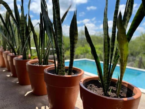 Der Swimmingpool an oder in der Nähe von Casa para disfrutar!