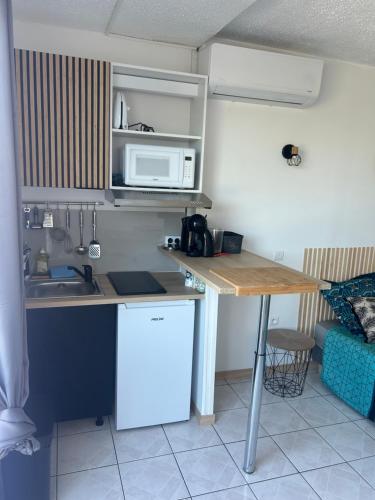 a kitchen with a counter with a microwave and a sink at Studio Cosy Anse Mitan Trois Ilets in Les Trois-Îlets