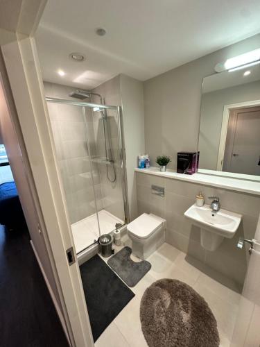 a bathroom with a shower and a toilet and a sink at Private Ensuite Room (King size bed) in Dublin