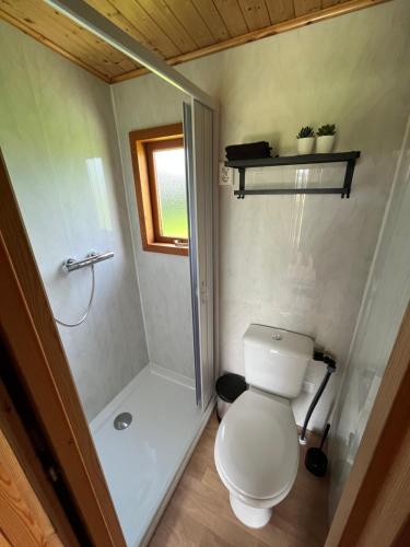 La salle de bains est pourvue d'une douche et de toilettes. dans l'établissement De Fuut, à Nieuwe-Niedorp