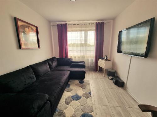 een woonkamer met een zwarte bank en een flatscreen-tv bij Borne militaria u Ewy in Borne Sulinowo