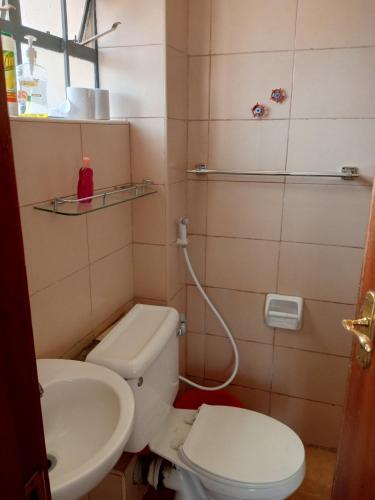 a bathroom with a toilet and a sink at Best suites Mvuli in Nairobi