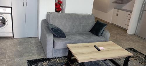 a living room with a chair and a table at Guesthouse Next to beach in Batumi