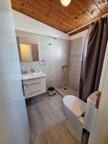 a bathroom with a toilet and a sink at Aegina house1 in Egina