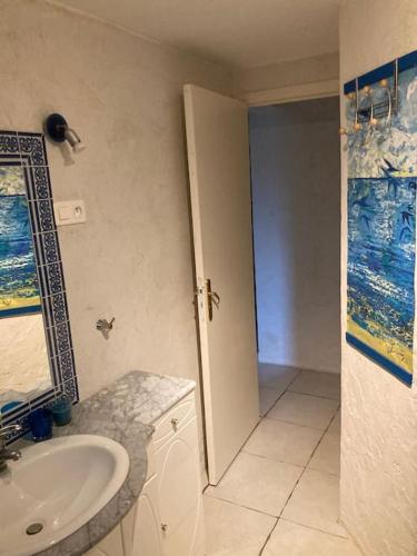 La salle de bains est pourvue d'un lavabo et d'une porte de douche. dans l'établissement La Bastide de Mauragne - Gîte Les Pivoines, à Apt