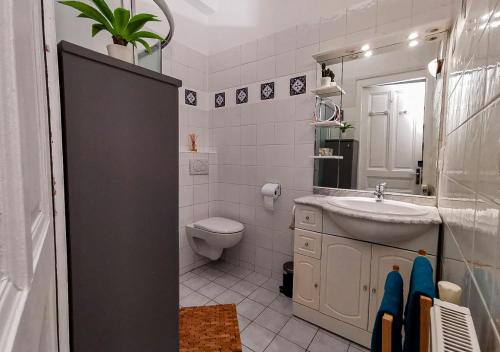 une salle de bain blanche avec un lavabo et des toilettes dans l'établissement Le Nid Douill'Aix Netflix Wifi Centre-ville, à Aix-les-Bains