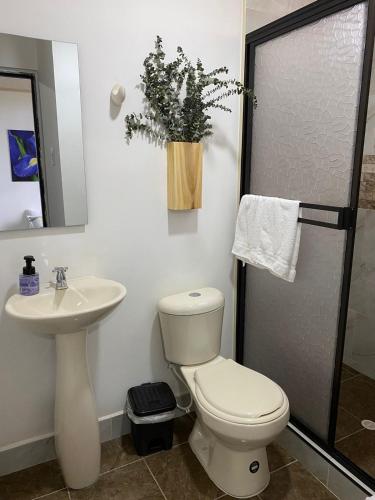 a bathroom with a toilet and a sink and a shower at Villa Jair Hotel in Filandia