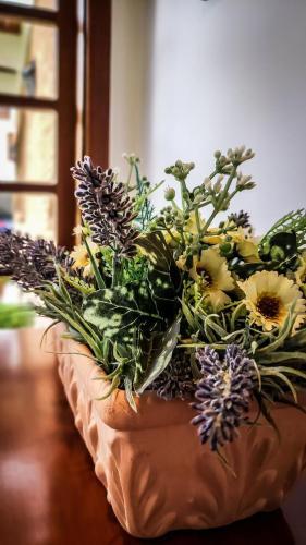 Fotografie z fotogalerie ubytování Tília Pousada de Charme v destinaci Campos do Jordão