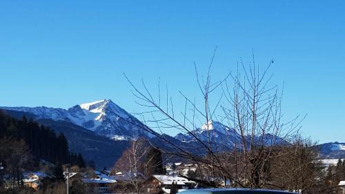 a mountain with snow capped mountains in the background at Hotel Garni Edelweiß in Siegsdorf