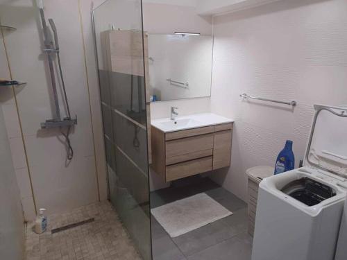 y baño con ducha, lavabo y aseo. en Appartement spacieux, en Sainte-Clotilde