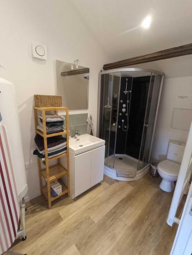 a bathroom with a shower and a sink and a toilet at Le Belvédère in Saint-Jans-Cappel