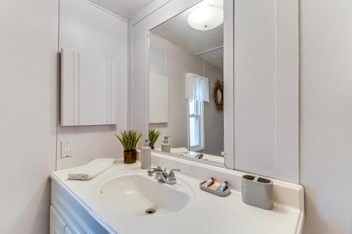 uma casa de banho com um lavatório e um espelho grande em Quaint Shenandoah River Cabin Kayak and Paddleboard em Rileyville