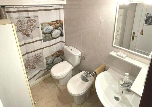 La salle de bains est pourvue de toilettes et d'un lavabo. dans l'établissement Casa Paqueldo, à Amposta