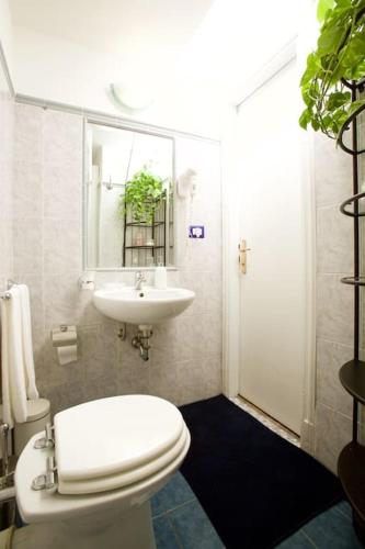 Comfort in Centro, benvenuti nella Cosy House