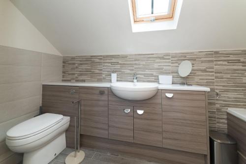 a bathroom with a toilet and a sink at Piggery Cottage in Llanasa