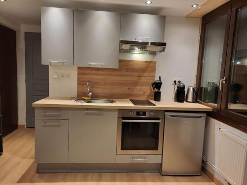 une cuisine avec un évier et un plan de travail dans l'établissement Charmant appartement T2 à Ugine, à Ugine