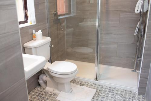 a bathroom with a toilet and a shower at Goitre Bach Llwyncelyn in Llanarth