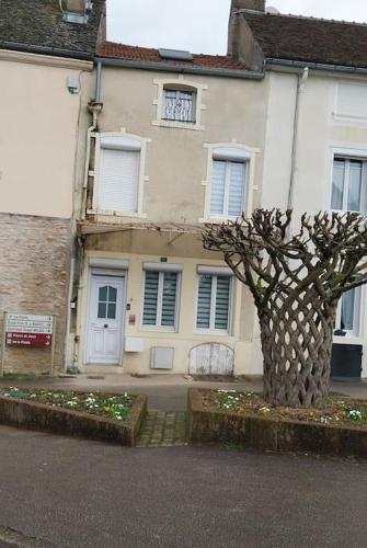 une maison avec un arbre en face dans l'établissement La maison du centre-ville, à Chagny