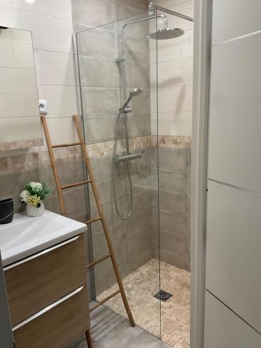 a shower with a glass door and a ladder in a bathroom at Studio coin nuit terrasse parking Clim in Nice