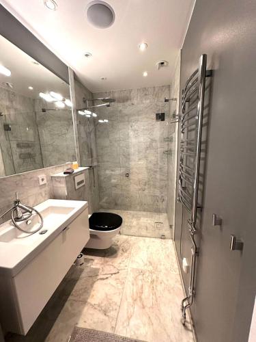 e bagno con servizi igienici, lavandino e doccia. di Luxury Apartment In City a Göteborg