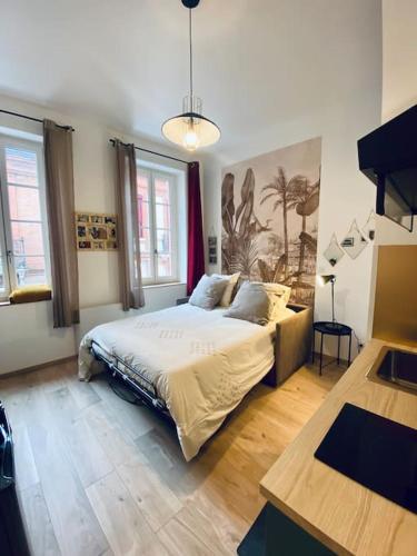 une chambre avec un grand lit dans une pièce dans l'établissement Studio centre, calme, vrai cocon., à Toulouse