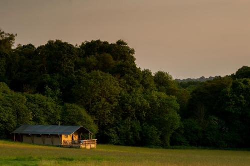 a cabin in a field with trees in the background at Cuckoo Down Farm Glamping in Venn Ottery
