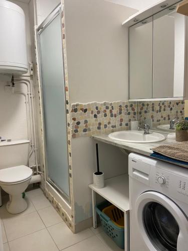 une salle de bain avec un lavabo et une machine à laver dans l'établissement SCI Eylo, à Leucate
