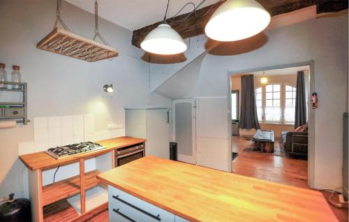 cocina con encimera en una habitación en Nice Home In Chalabre With Wifi, en Chalabre