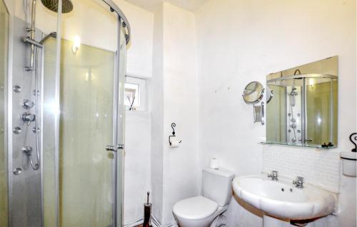 y baño con aseo, lavabo y ducha. en Nice Home In Chalabre With Wifi, en Chalabre