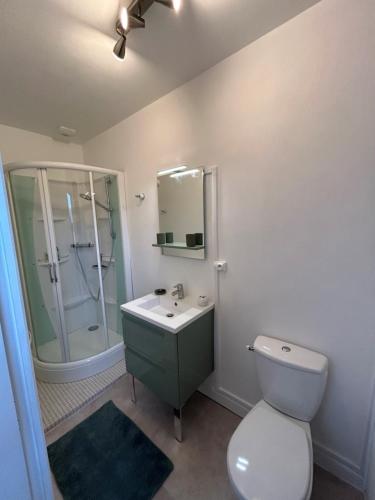 La salle de bains est pourvue de toilettes, d'un lavabo et d'une douche. dans l'établissement Maison de campagne chez Mamie 4 étoiles, à Sainte-Eulalie-dʼAns