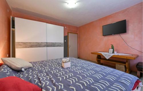a bedroom with a bed and a tv on the wall at Lovely Home In Vinogradi Ludbreski in Ludbreg