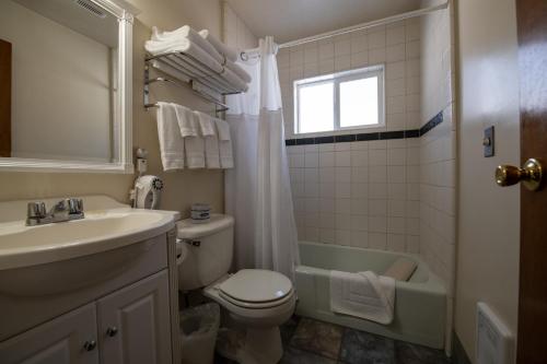 a bathroom with a sink and a toilet and a shower at Gull Lake Lodge in June Lake