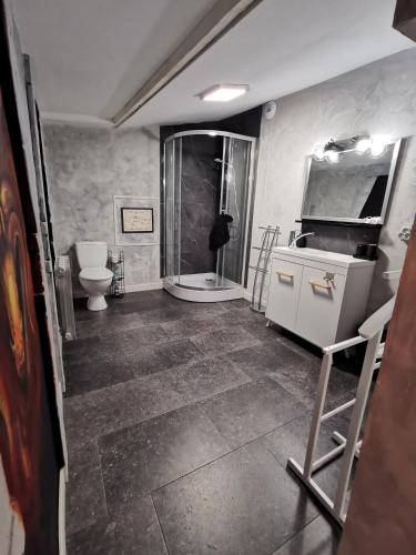 une salle de bain avec une douche, un lavabo et des toilettes dans l'établissement Suite privative Le seigneur des Anneaux Arnor, à Vertaizon